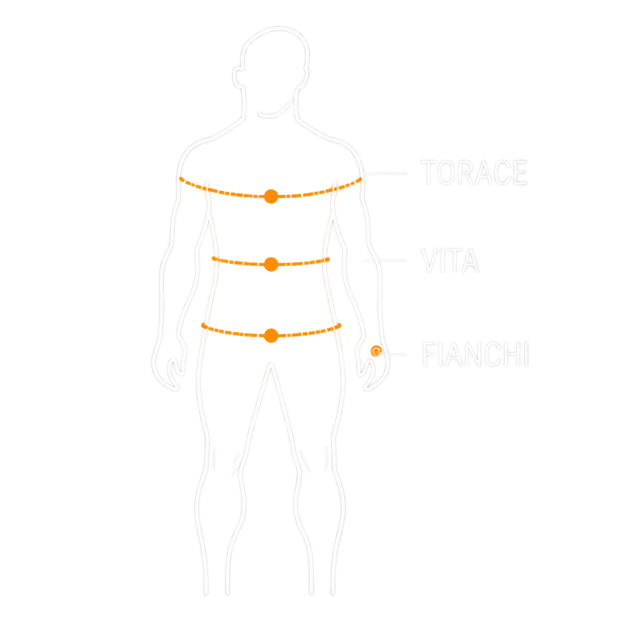 Schema delle misure torace, vita e fianchi